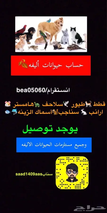 مشاوير وا توصيل طلبات وخدمة مرسول  3