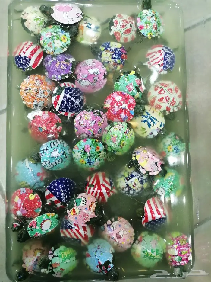 طيور زينة ومستلزماتها محل نوادر خميس مشيط 1