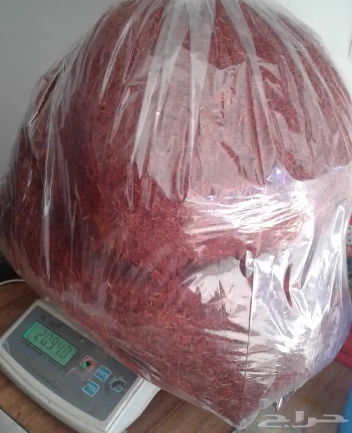 زعفران أفغاني حر سوبر نقيل للتاجر والمستهلك 6