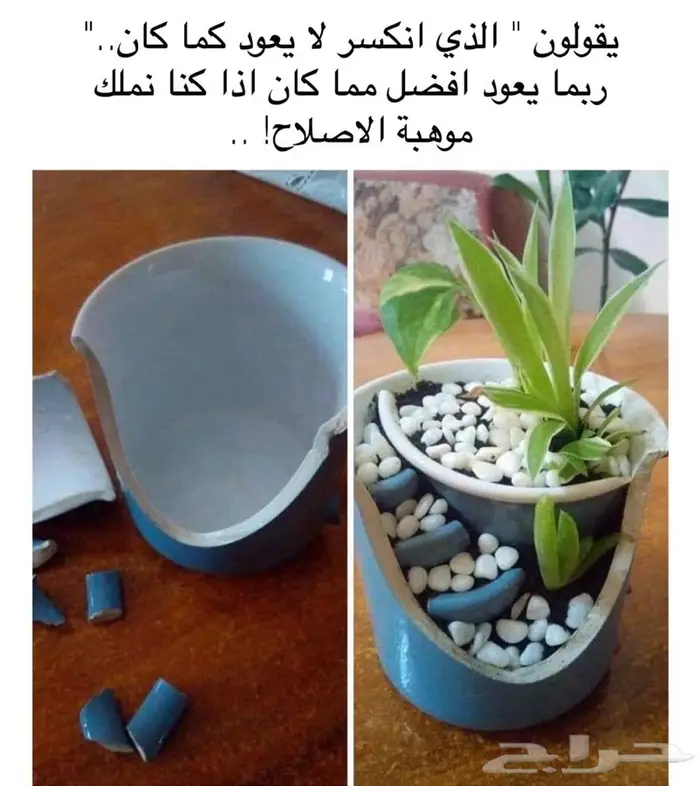 إصلاح و صيانة تصليح نظارات ( نظارتك مكسورة لاترميها نصلحها ) 53