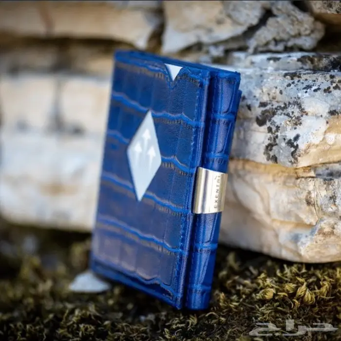 محفظة اكسنتري المتعددة Exentri Multiwallet 18