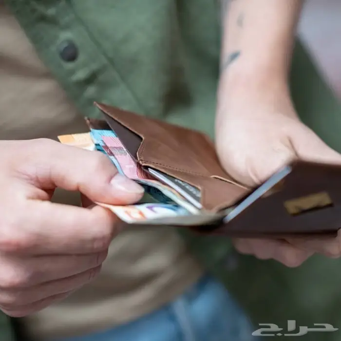 محفظة اكسنتري المتعددة Exentri Multiwallet 10