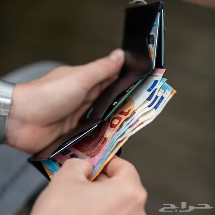 محفظة اكسنتري المتعددة Exentri Multiwallet 11