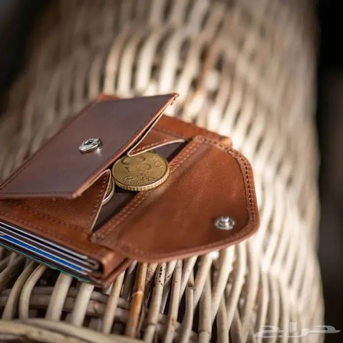 محفظة اكسنتري المتعددة Exentri Multiwallet 14