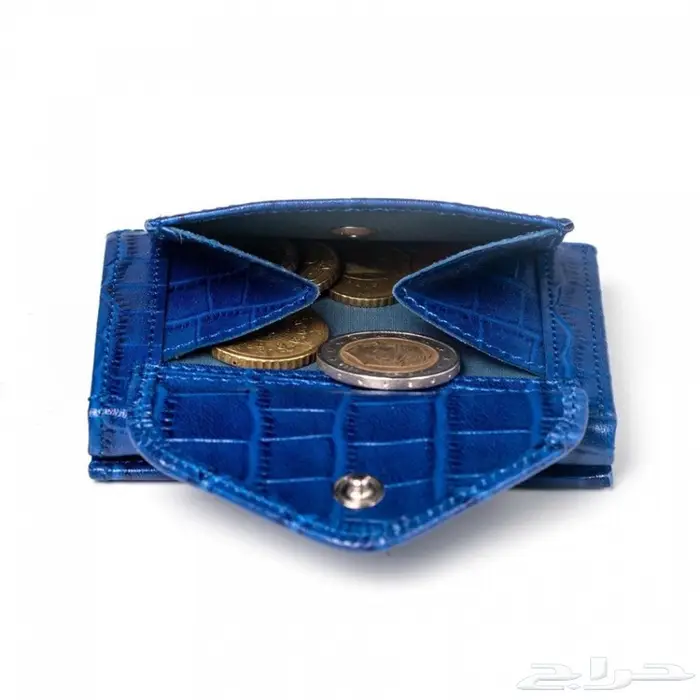 محفظة اكسنتري المتعددة Exentri Multiwallet 20