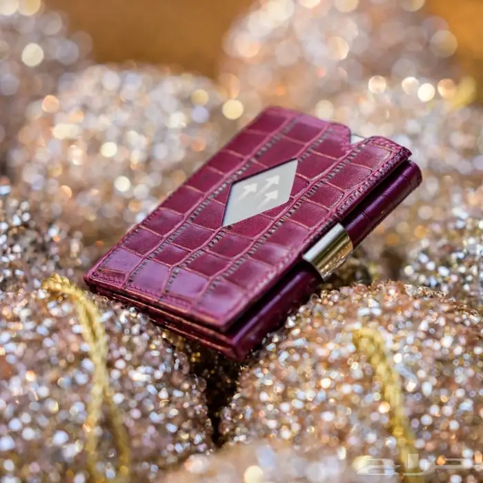 محفظة اكسنتري المتعددة Exentri Multiwallet 27