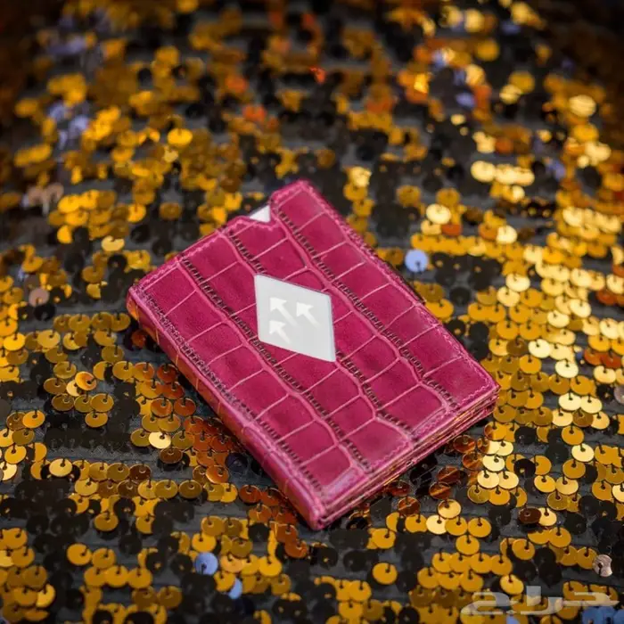 محفظة اكسنتري المتعددة Exentri Multiwallet 29