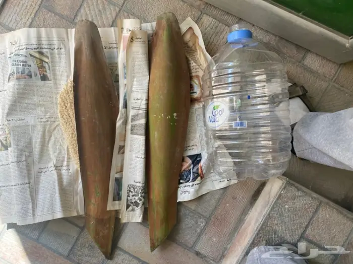 لقاح نخل للبيع 1