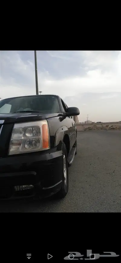 تم البيع اسكاليد 0