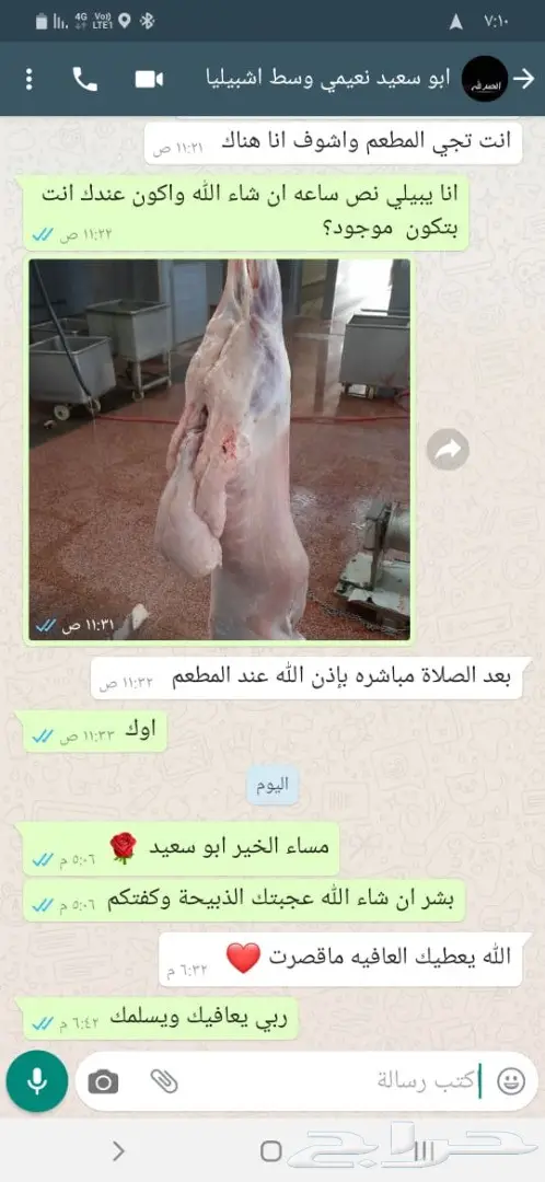 غنم نعيمي هرفي وجذع ذبح وتقطيع وتوصيل 14