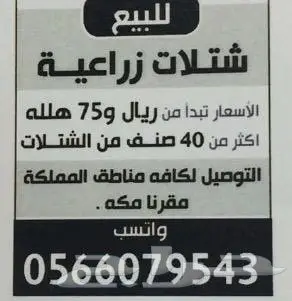 العرض  الأقوى للشتلات الزراعية ب1.5 للشتله  71