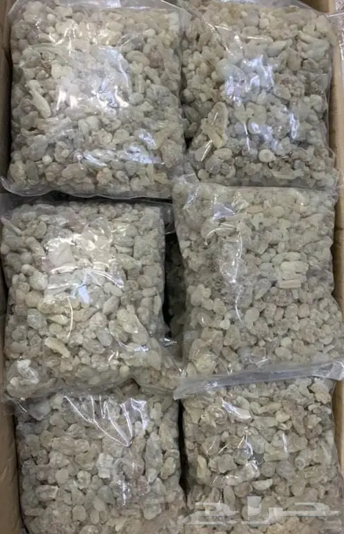 لبان حوجري ظفاري عماني بيور و طازة .. 5
