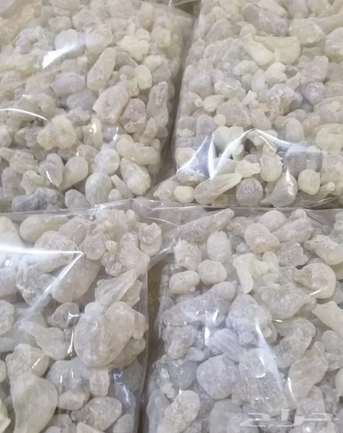 لبان حوجري ظفاري عماني بيور و طازة .. 0