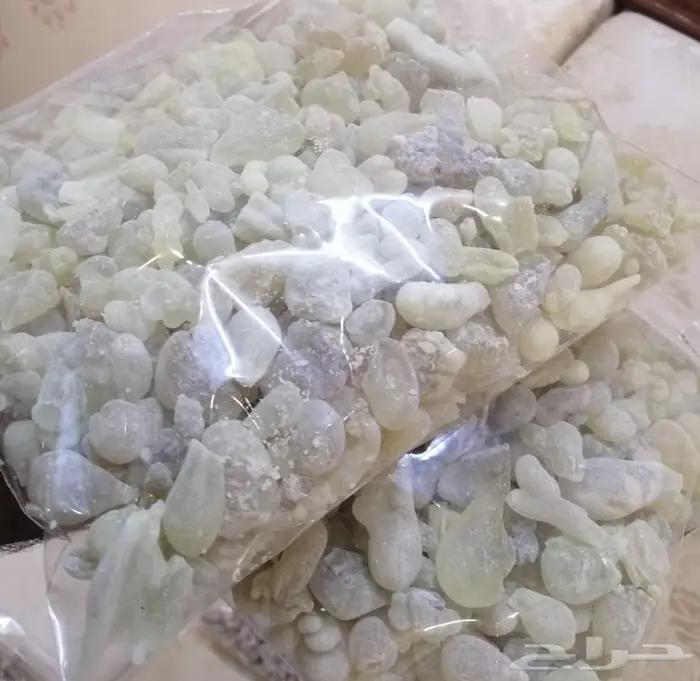 لبان حوجري ظفاري عماني بيور و طازة .. 1
