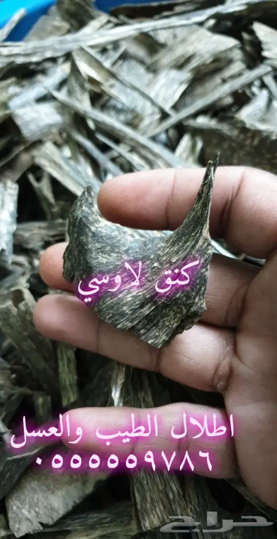 اجود انواع عود الغابات الطبيعيه بالجمله 7