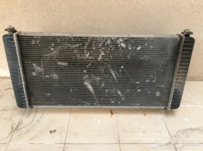 راديتر سكاليد و يوكن دينالي 0