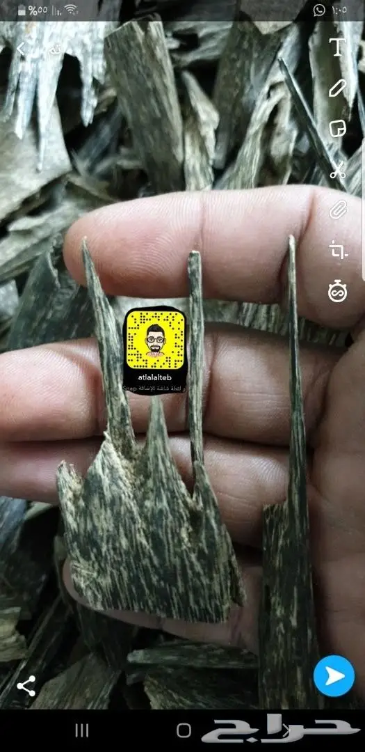 عود بخور سيوفي غابات طبيعيه ملكيه بياض وجه 4