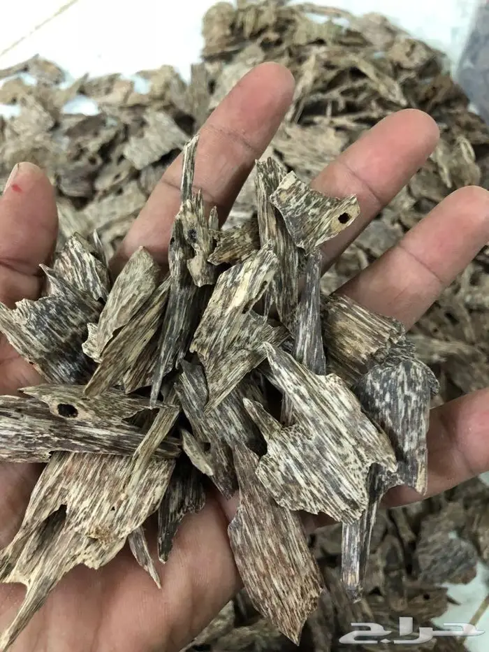 عود بخور سيوفي غابات طبيعيه ملكيه بياض وجه 0