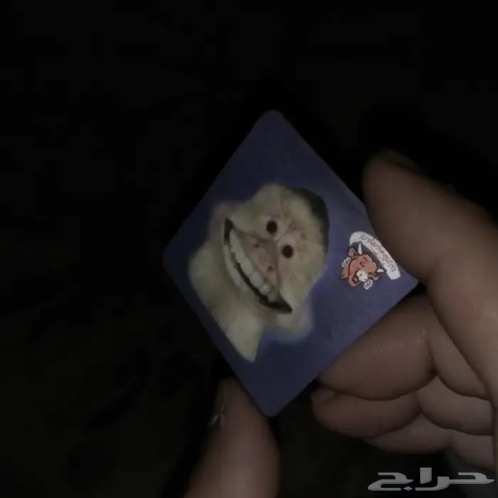 عكوس جبنة البقرة الضاحكة قديمة 1