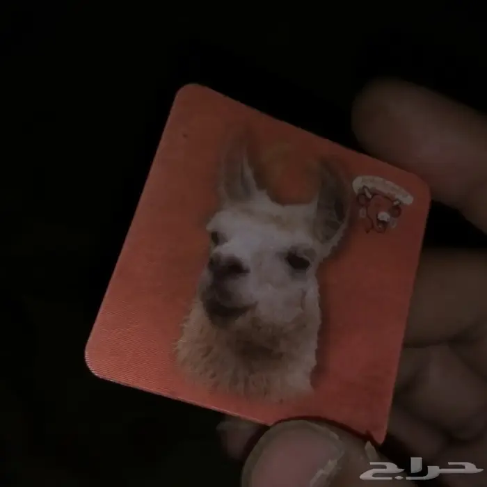 عكوس جبنة البقرة الضاحكة قديمة 2