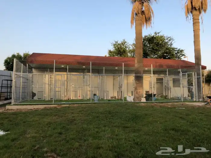 Metal mesh fencing and fencing contractor 12