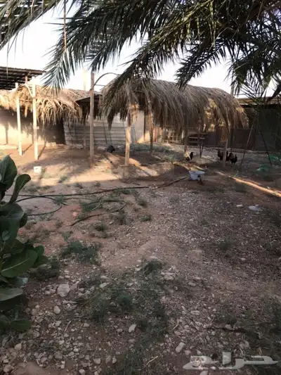 للايجار احواش الخرج  اليمامه 39