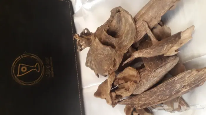 عود سولاويسي إندونيسي فخامة العود 0