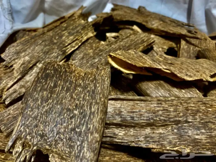 عود لاوسي قديم نادر عود غابات معمرة 2