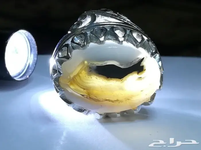 عشاق الاحجار المصوره خاتم ملكي راهي مصور 0