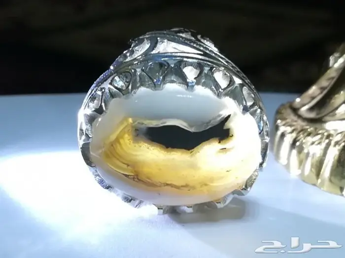 عشاق الاحجار المصوره خاتم ملكي راهي مصور 2