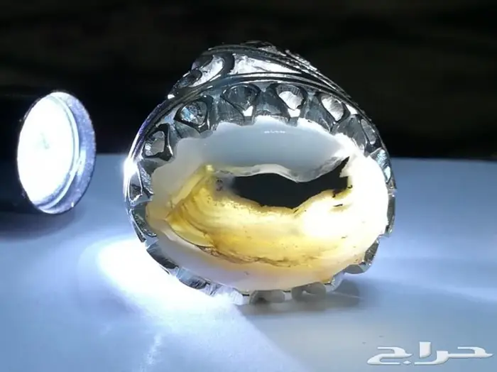 عشاق الاحجار المصوره خاتم ملكي راهي مصور 6