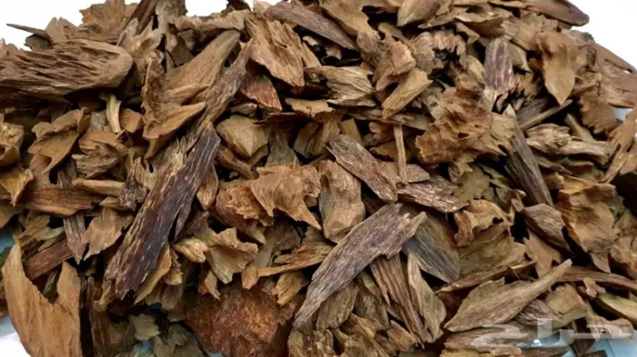 عود جابورا قديم مخزن عود غابات فاخر عطري 3