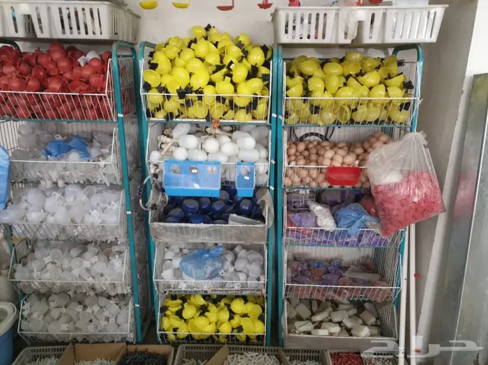 عروض فقاسات نوادر المستهلك المتميزة 7