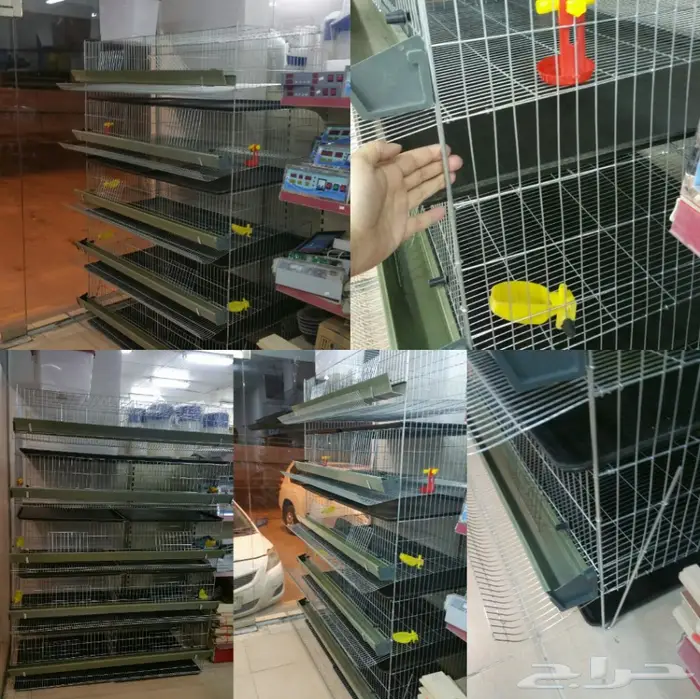 عروض فقاسات نوادر المستهلك المتميزة 9