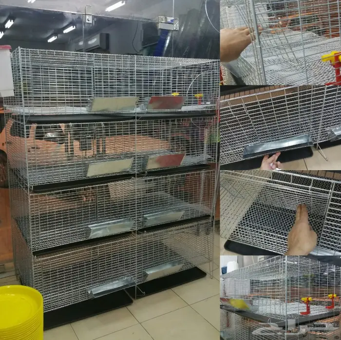 عروض فقاسات نوادر المستهلك المتميزة 10