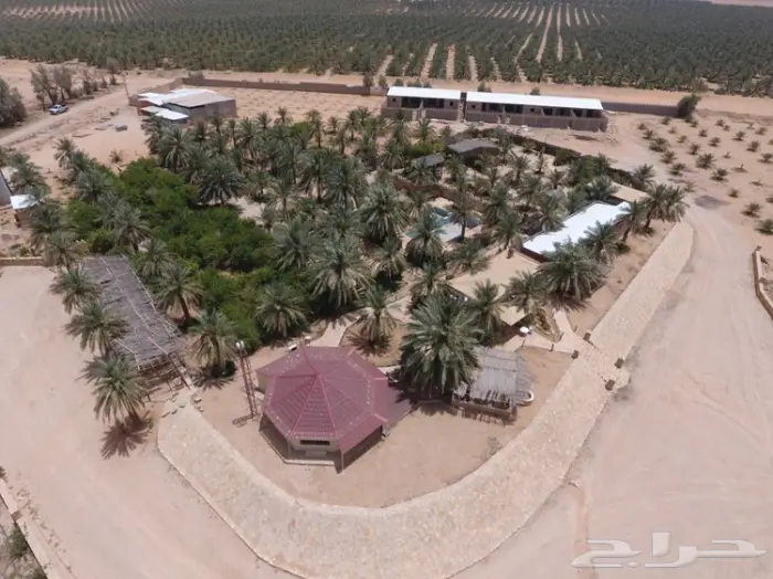 مصور جوي مباني مزارع استراحات 0