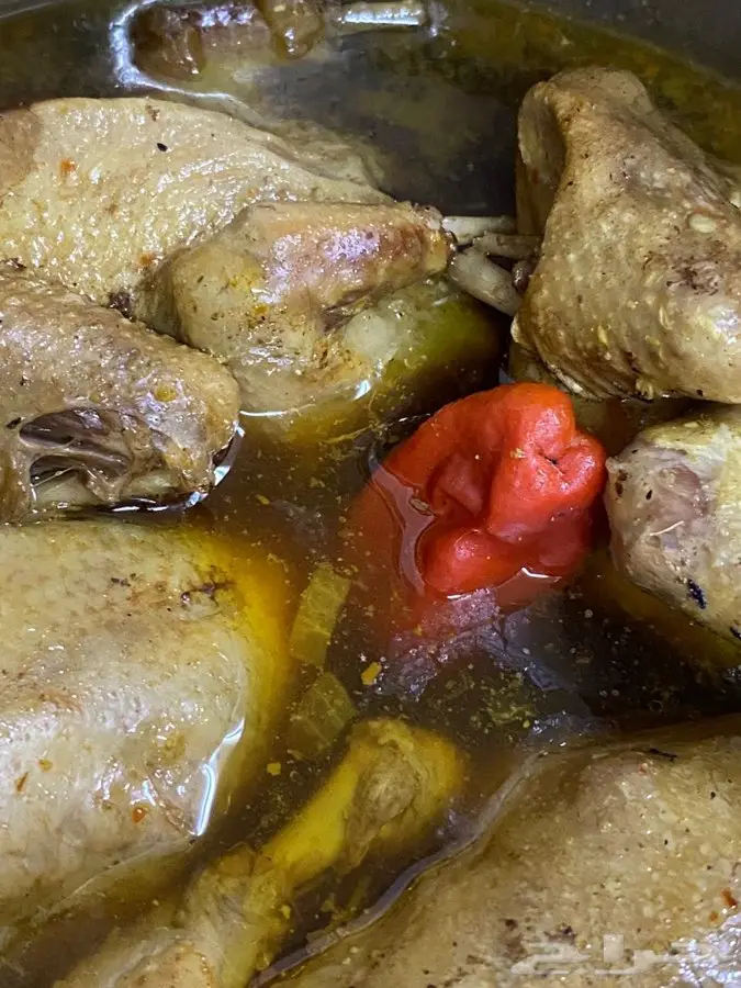 زغاليل لاحم فرنسي وزاجل بالخرج 4