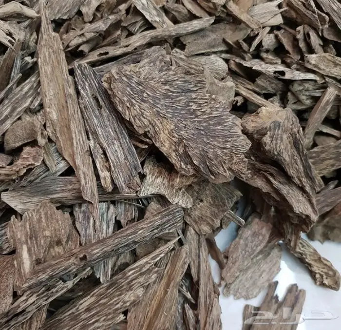 عود كلمنتان مالينو سوبر ومرتفع فخم وناهي.. 3