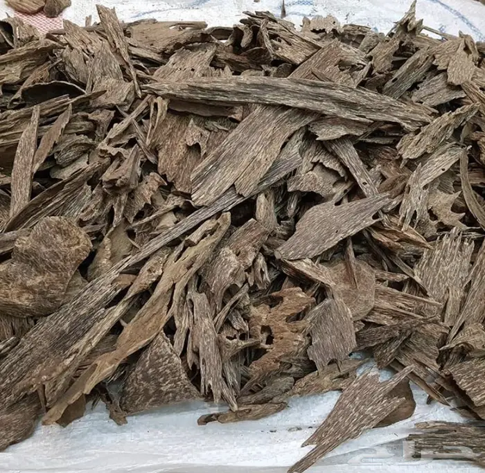عود كلمنتان مالينو سوبر ومرتفع فخم وناهي.. 2