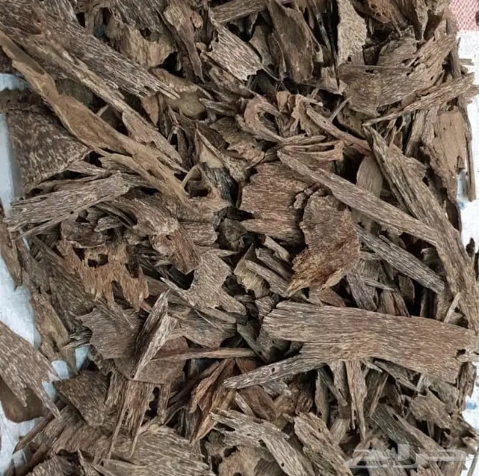 عود كلمنتان مالينو سوبر ومرتفع فخم وناهي.. 1