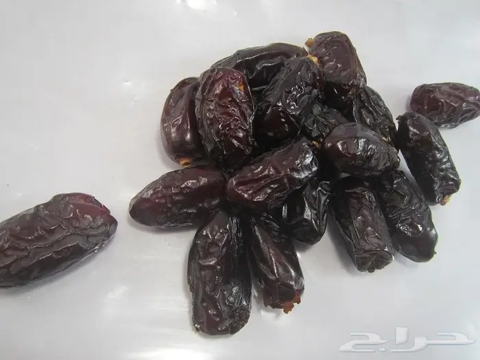 المدينة المنورة 0