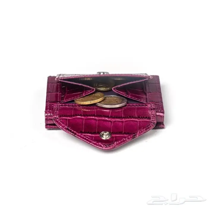 محفظة اكسنتري المتعددة Exentri Multiwallet 20