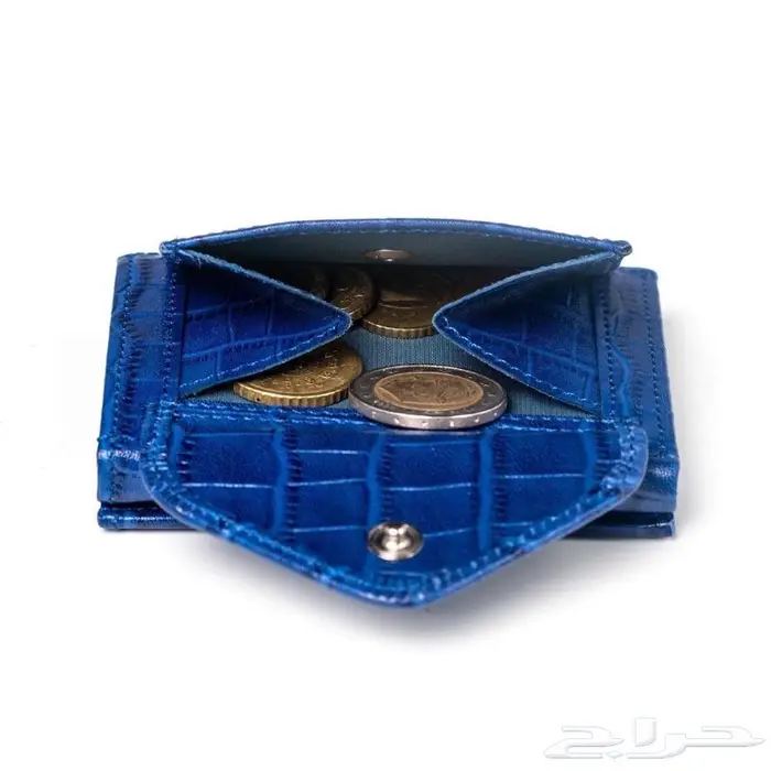 محفظة اكسنتري المتعددة Exentri Multiwallet 13