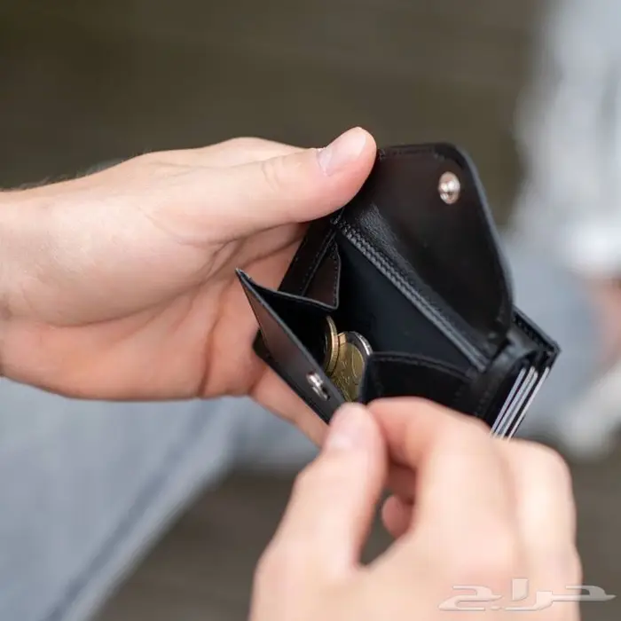 محفظة اكسنتري المتعددة Exentri Multiwallet 9