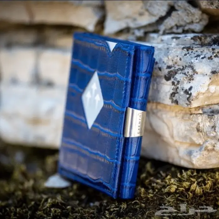 محفظة اكسنتري المتعددة Exentri Multiwallet 14