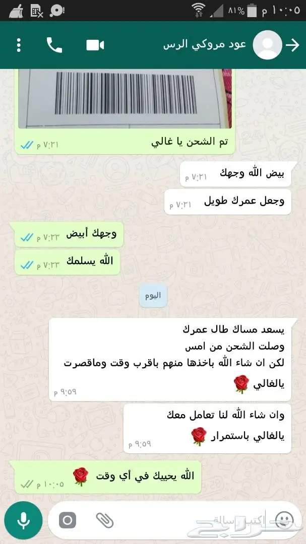عود مروكي طبيعي محسن 3