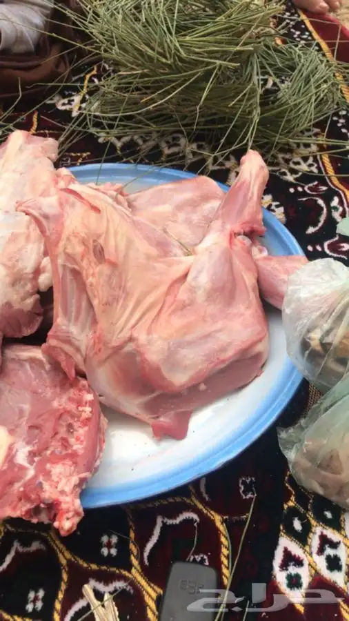 مرخ و سلع للبيع في الطائف و جده وضواحيها الكميه محدوده جدا 11