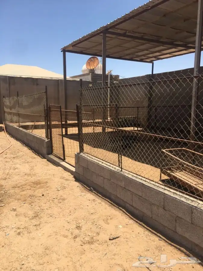 حظائر غنم و شبك طيور 2