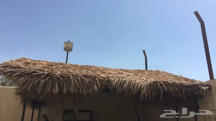 سعف نخل جريد نخل 4 متر في 2.5 مقاس الروله 1