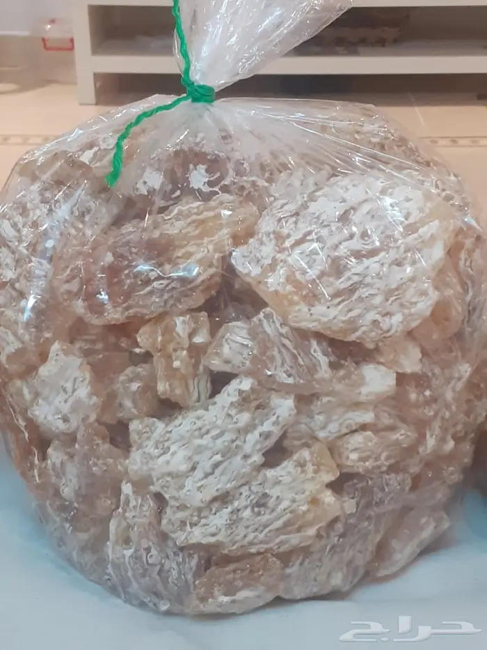لبان لامي درجة اولى 6